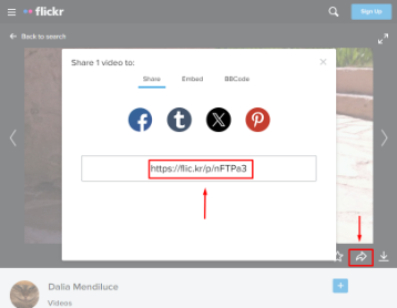 Flickr Video Downloader copy link