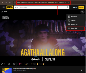 IMDB Video Downloader copy url