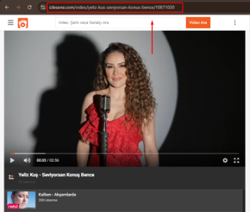 Izlesene Video Downloader copy url
