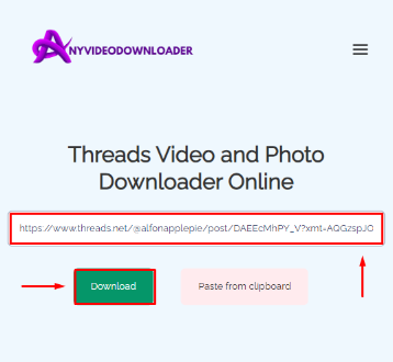 Threads Video and Photo Downloader paste link and click download