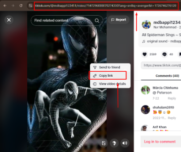 TikTok Video Downloader copy link