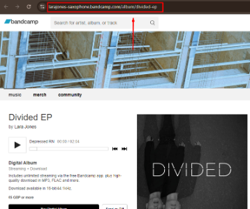 Bandcamp Music Album Downloader Copy url