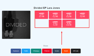 Bandcamp Music Album Downloader select the quality to download