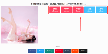 BiliBili Video Downloader select the file to download