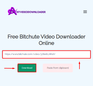 Bitchute Video Downloader paste link and click download