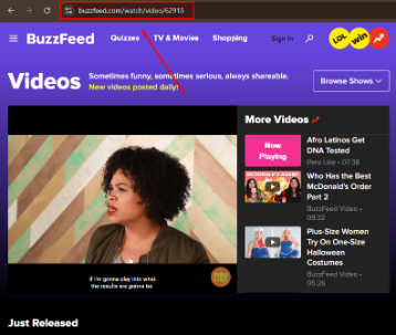 Buzzfeed Video Downloader copy url