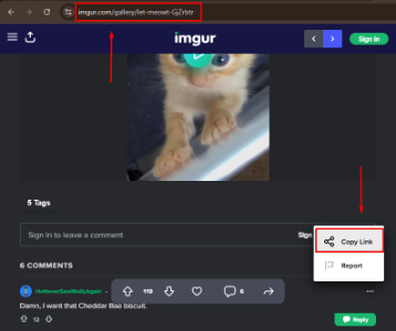 Imgur Video Downloader copy url